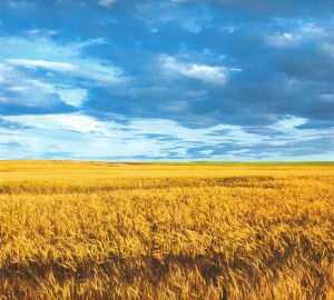 Україна